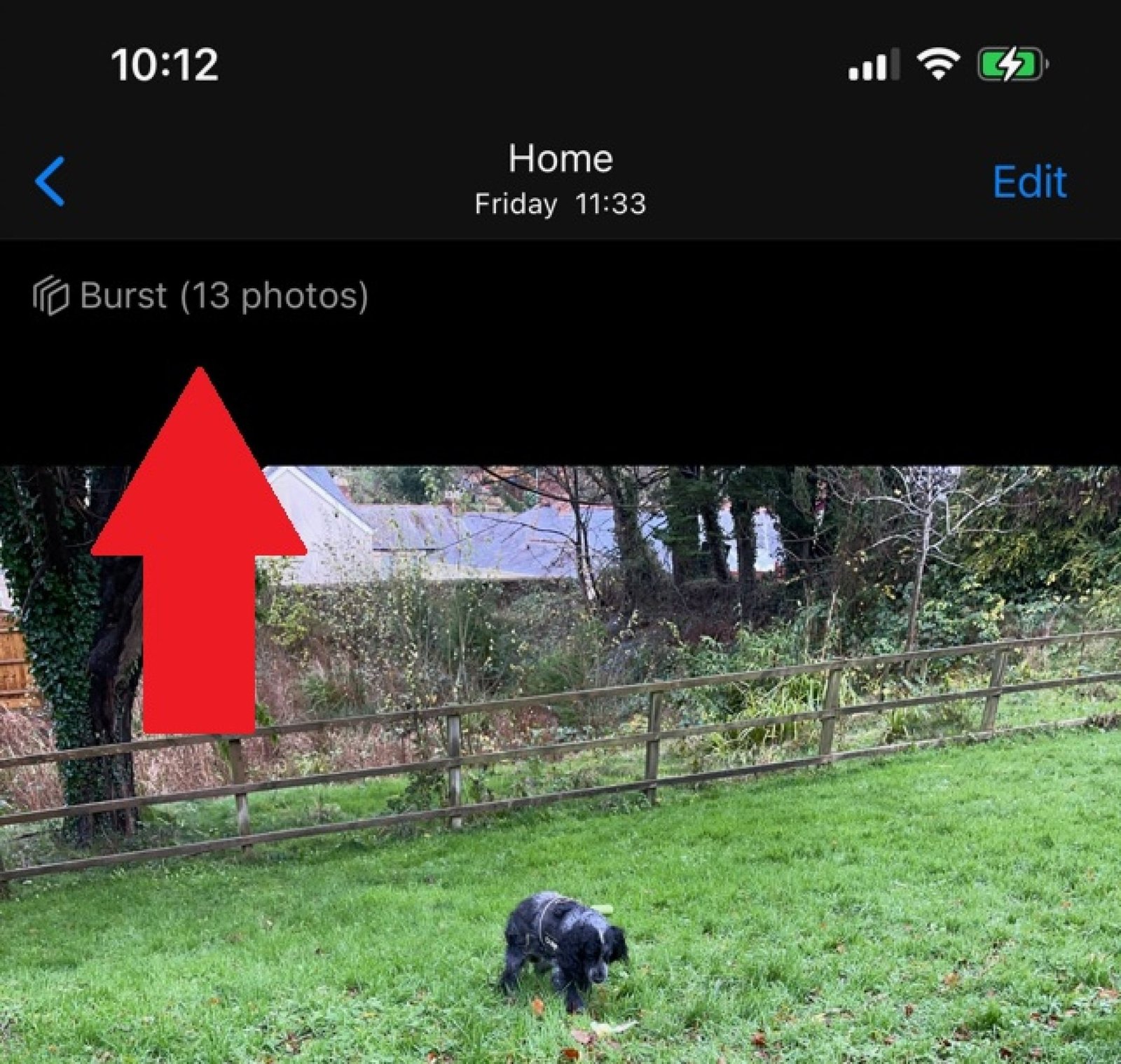 Arrow pointing to where you can see how many images you