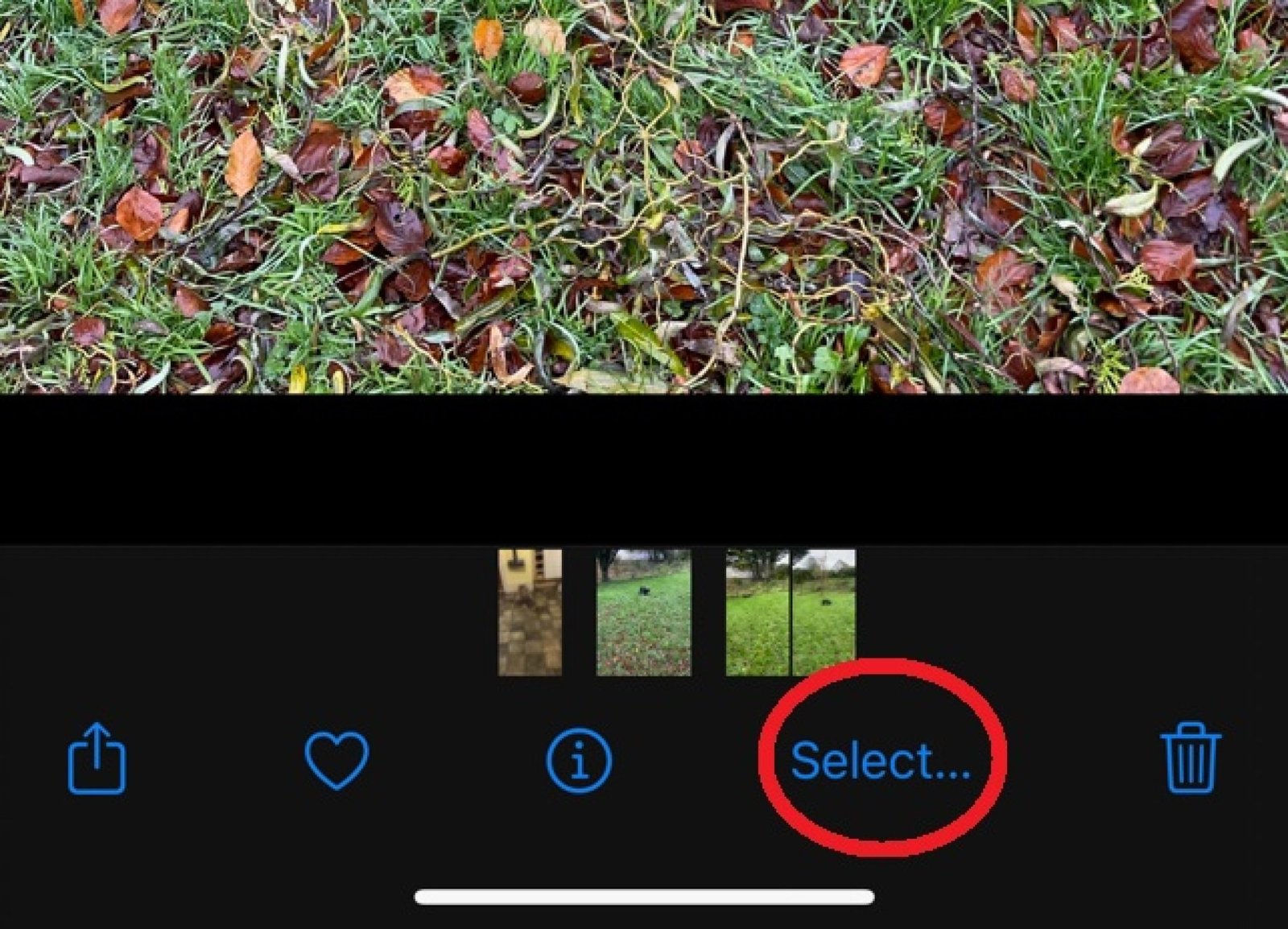 icon for selecting individual photos in Burst mode