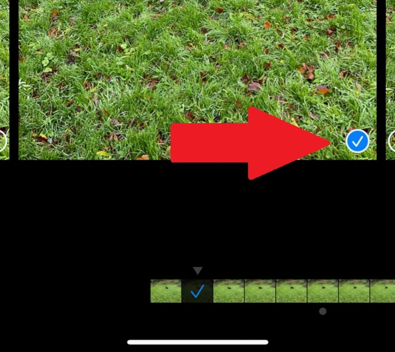 arrow to save individual shots on camera roll